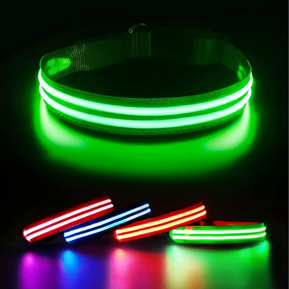 Collar Led