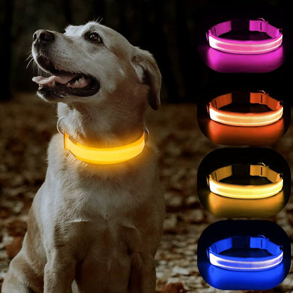 Collar Led