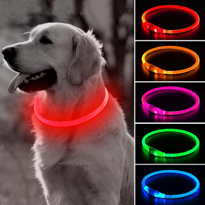 Collar Led