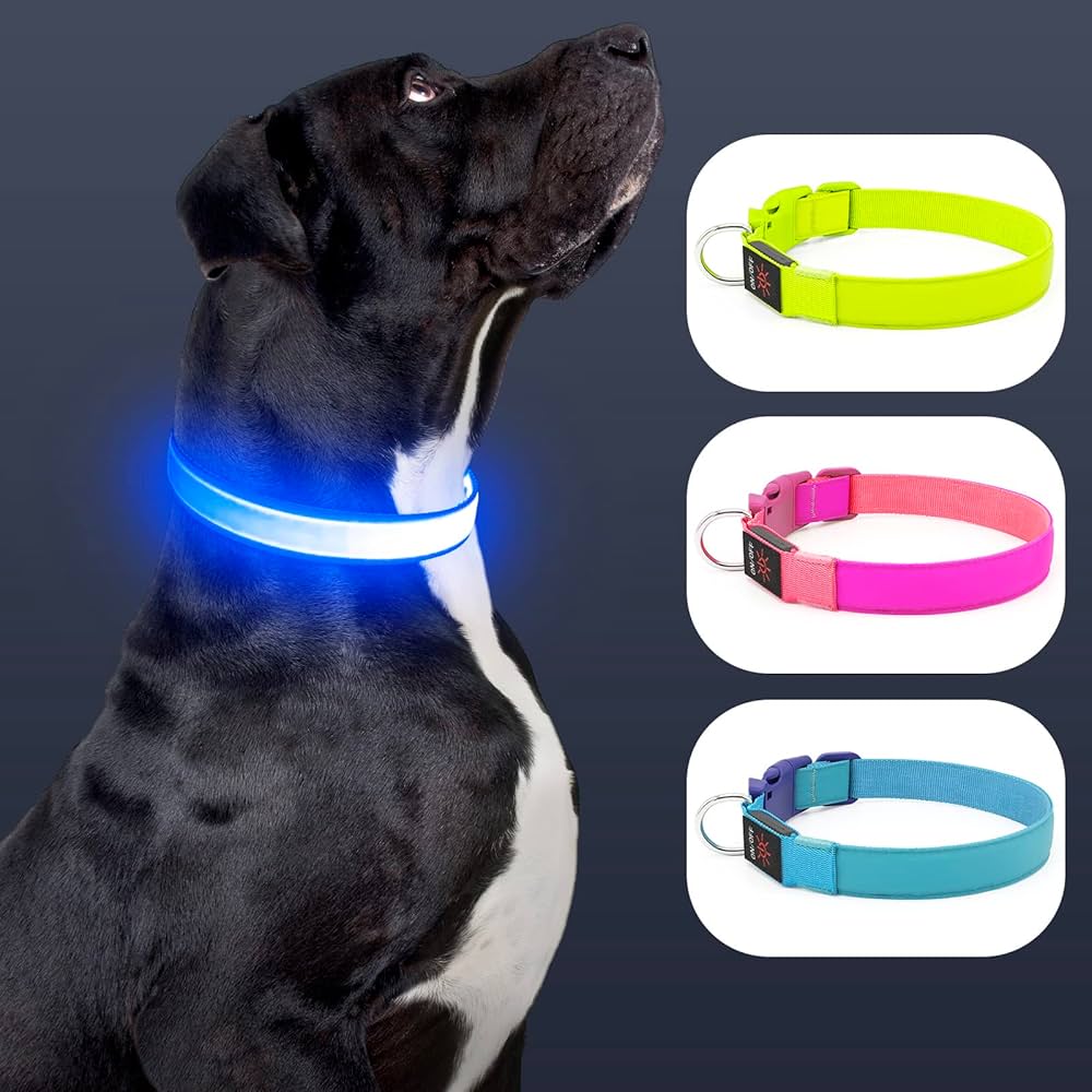 Collar Led