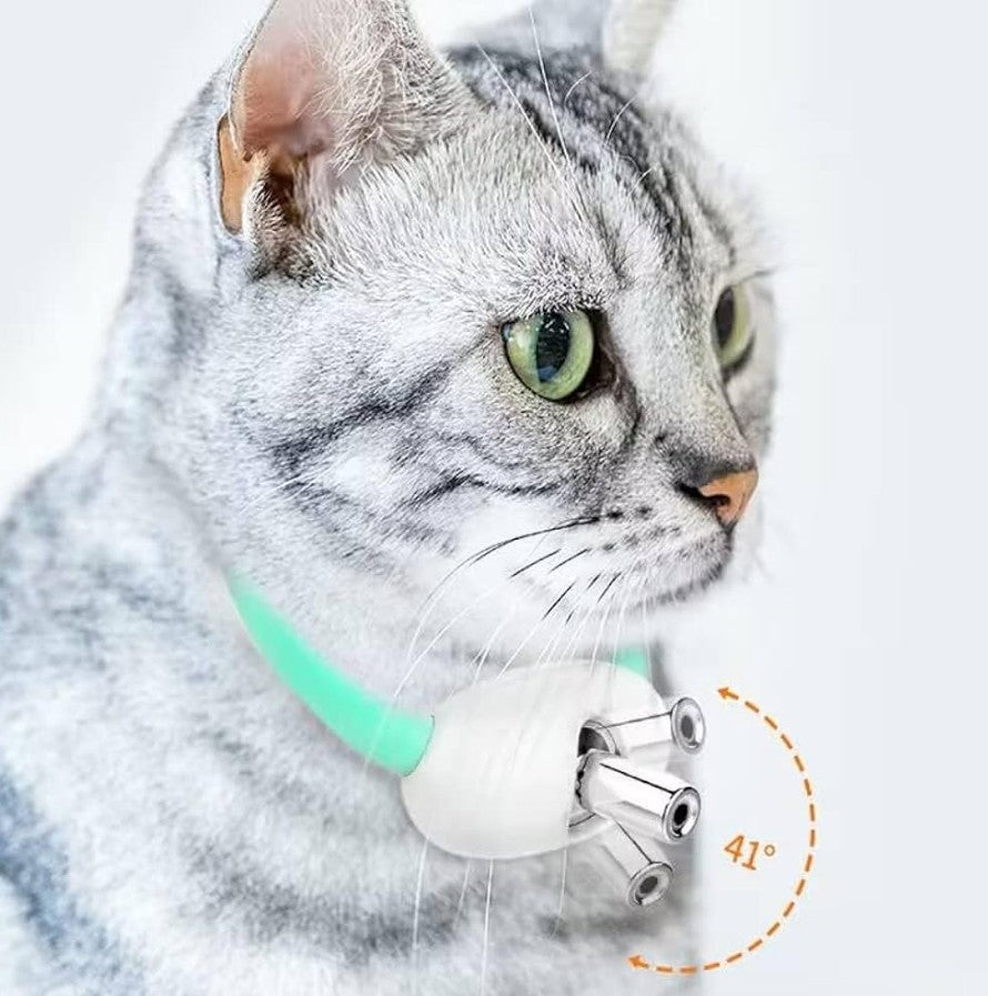 Collar laser para gatos