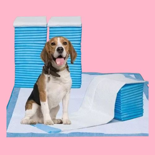 Tapete absorbente para perros x10 unds