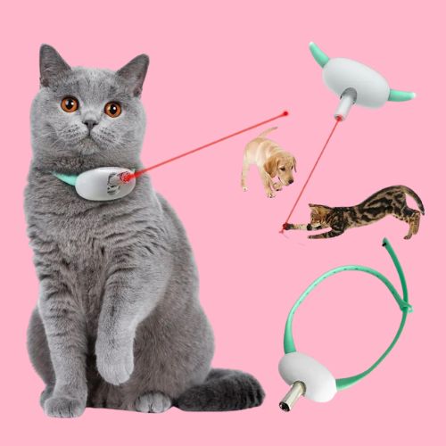 Collar laser para gatos