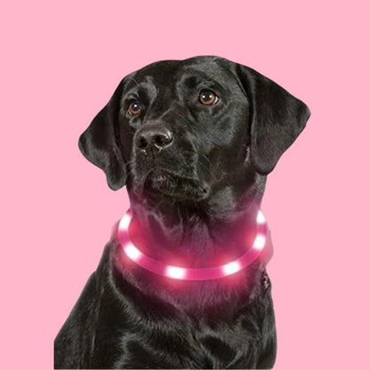 Collar Led