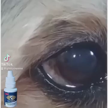 Pets vision regenerador ocular